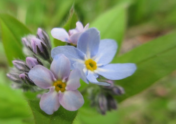 Keď hlboké ticho objímalo všetko